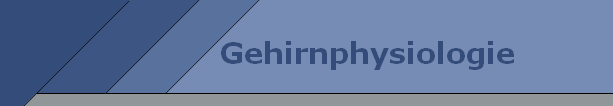 Gehirnphysiologie